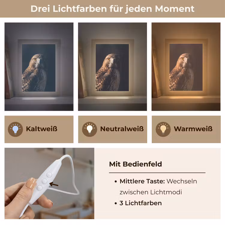 Roofvogel - Buizerd - Bruin Light Box met kabel (Kinderlampje) klein -USP_lichtkleurDE