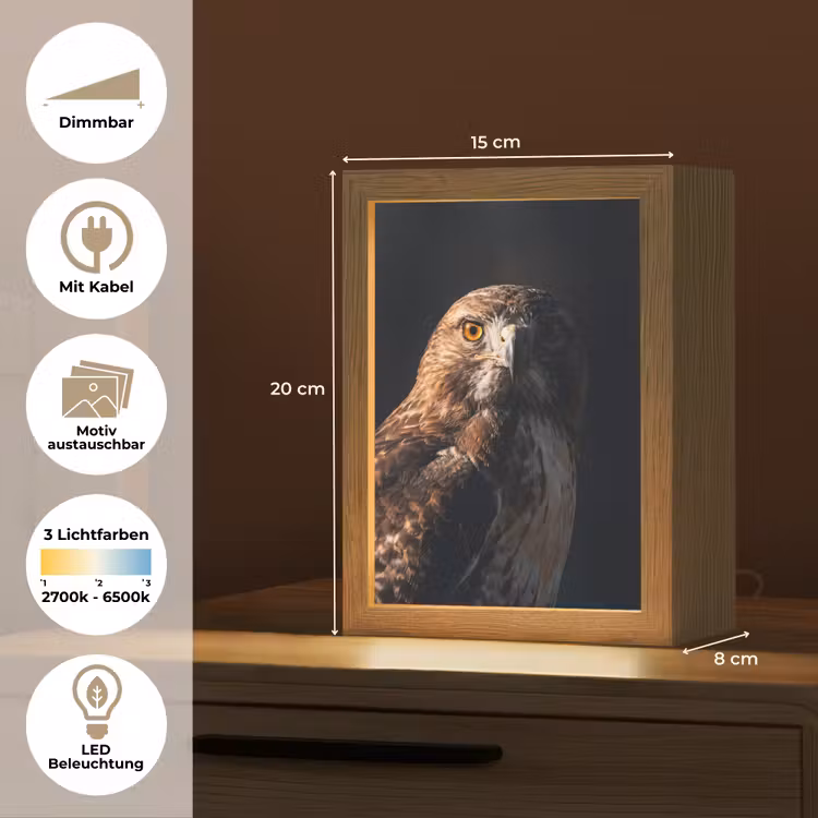 Roofvogel - Buizerd - Bruin Light Box met kabel (Kinderlampje) klein -USP_websiteoverzichtDE