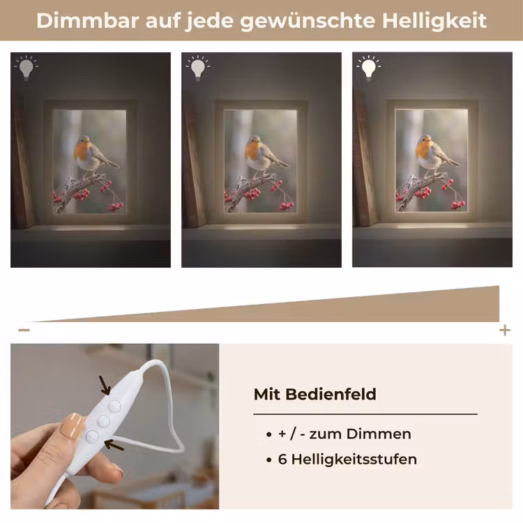 Roodborst - Tak - Bessen - Natuur Light Box met kabel (Kinderlampje) klein -USP_dimbaarDE