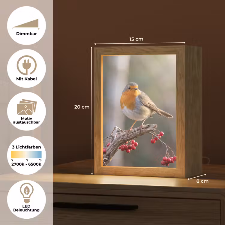 Roodborst - Tak - Bessen - Natuur Light Box met kabel (Kinderlampje) klein -USP_websiteoverzichtDE