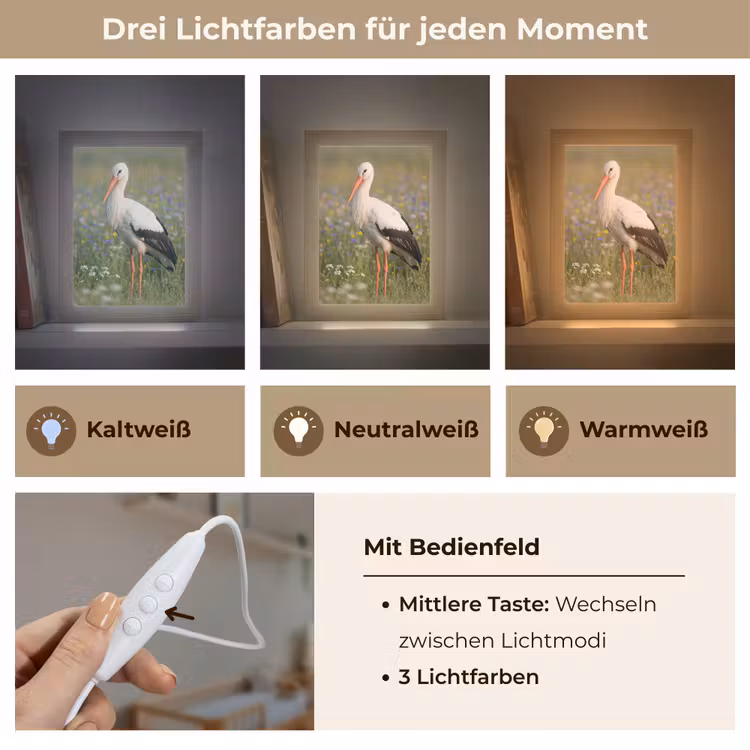 Ooienvaar - Bloemen - Weide - Kleurrijk Light Box met kabel (Kinderlampje) klein -USP_lichtkleurDE