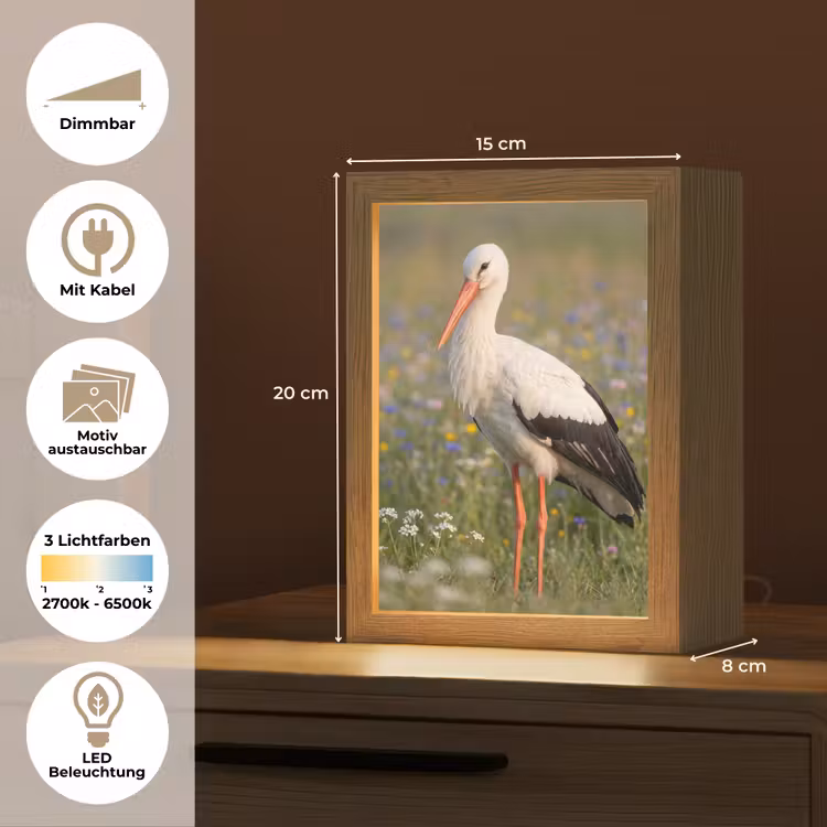 Ooienvaar - Bloemen - Weide - Kleurrijk Light Box met kabel (Kinderlampje) klein -USP_websiteoverzichtDE