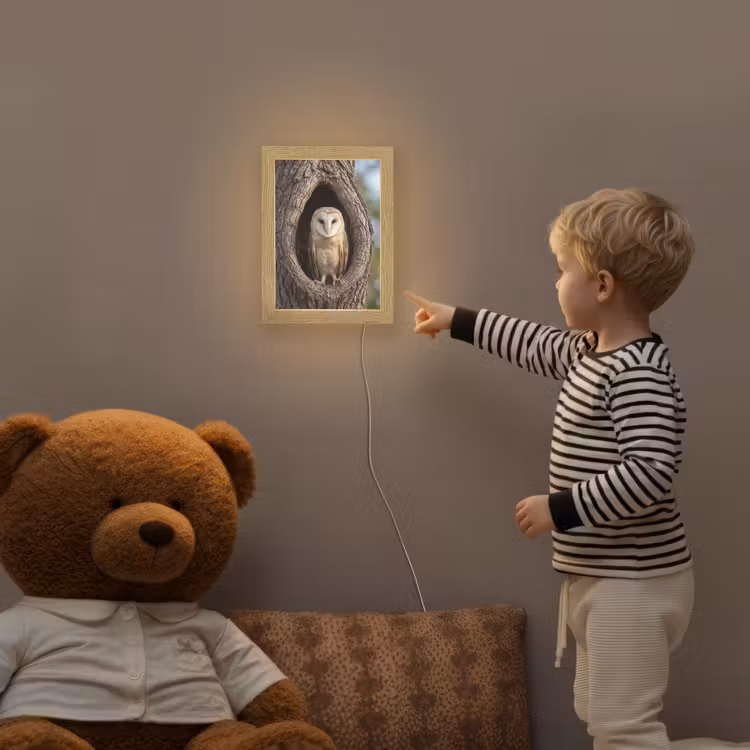 Kerkuil - Boom - Natuur - Bruin Light Box met kabel (Kinderlampje) klein -sfeer4a_kind