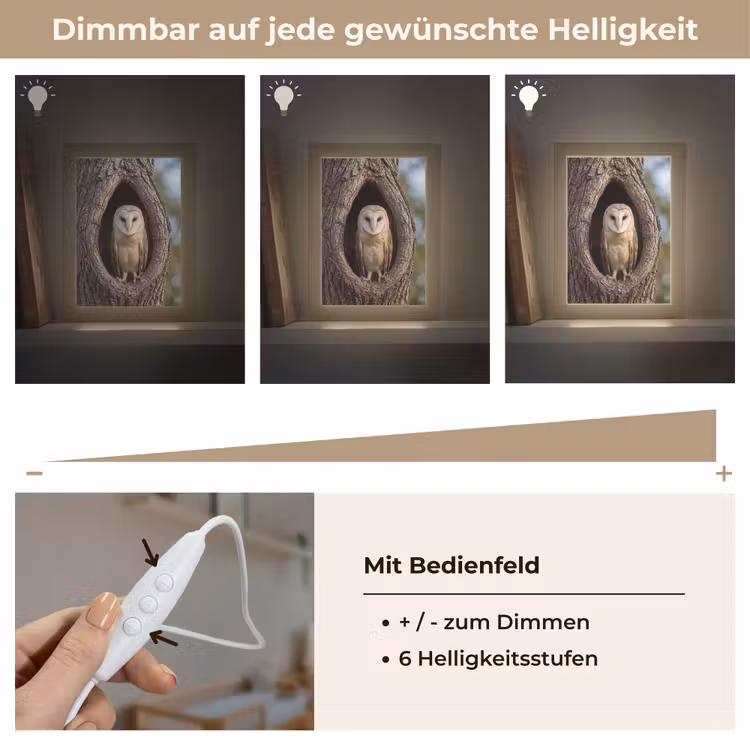 Kerkuil - Boom - Natuur - Bruin Light Box met kabel (Kinderlampje) klein -USP_dimbaarDE