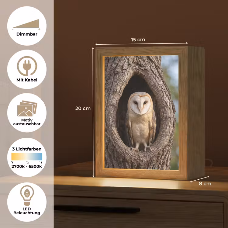Kerkuil - Boom - Natuur - Bruin Light Box met kabel (Kinderlampje) klein -USP_websiteoverzichtDE