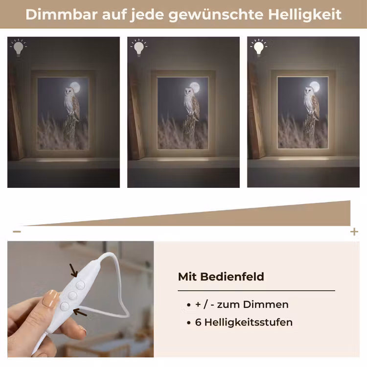 Kerkuil - Maan - Nacht Light Box met kabel (Kinderlampje) klein -USP_dimbaarDE
