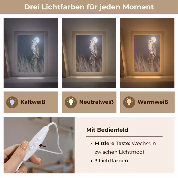 Kerkuil - Maan - Nacht Light Box met kabel (Kinderlampje) klein -USP_lichtkleurDE