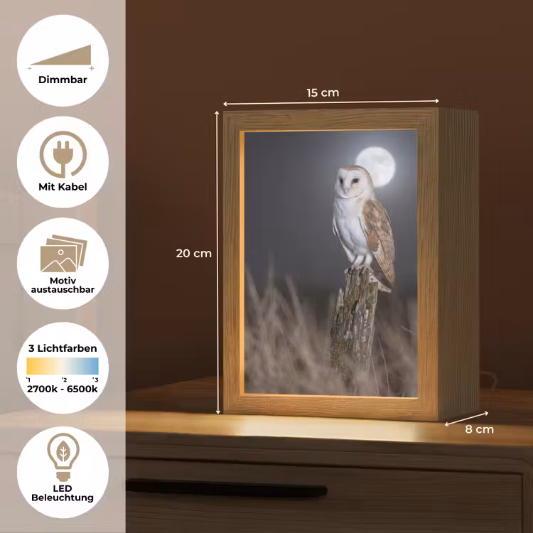 Kerkuil - Maan - Nacht Light Box met kabel (Kinderlampje) klein -USP_websiteoverzichtDE