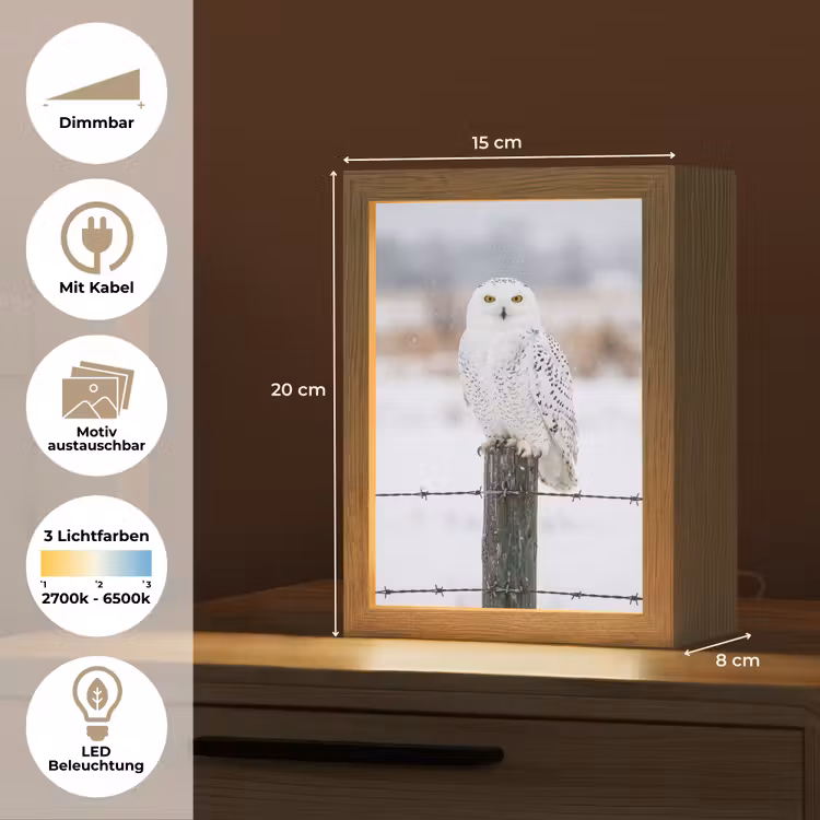 Sneeuwuil - Hek - Sneeuw - Wit Light Box met kabel (Kinderlampje) klein -USP_websiteoverzichtDE