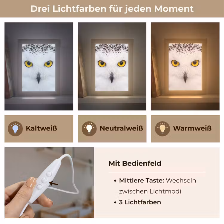 Sneeuwuil - Portret - Geel Light Box met kabel (Kinderlampje) klein -USP_lichtkleurDE
