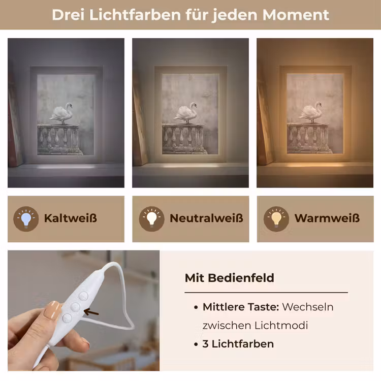 Zwaan - Elegant - Dieren - Wit Light Box met kabel (Kinderlampje) klein -USP_lichtkleurDE
