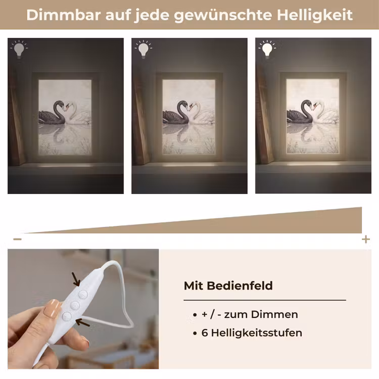 Zwanen - Hartvorm - Dieren Light Box met kabel (Kinderlampje) klein -USP_dimbaarDE