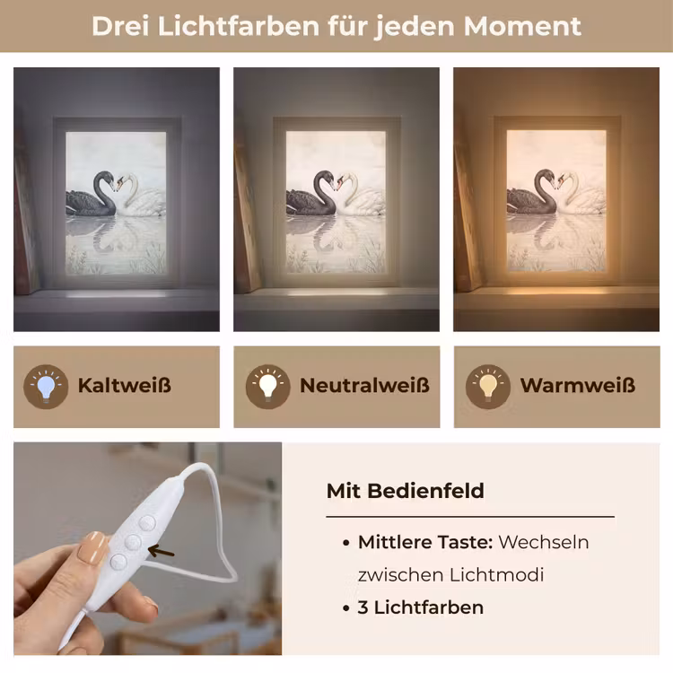 Zwanen - Hartvorm - Dieren Light Box met kabel (Kinderlampje) klein -USP_lichtkleurDE
