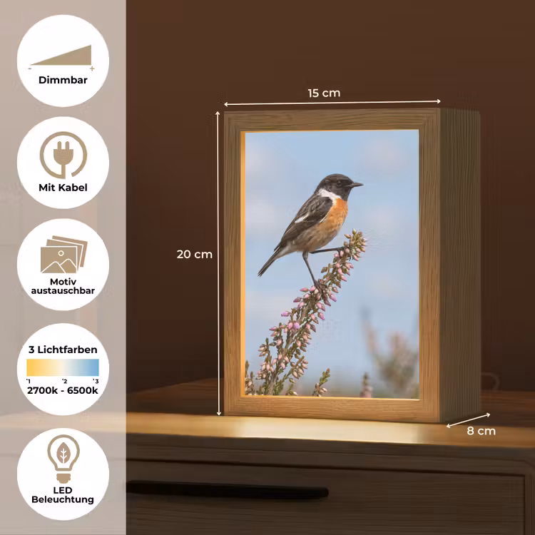 Roodborsttapuit - Heide - Paars - Natuur - Sfeervol Light Box met kabel (Kinderlampje) klein -USP_websiteoverzichtDE