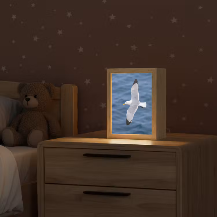 Zeemeeuw - Oceaan - Blauw Light Box met kabel (Kinderlampje) klein -sfeer1_kind