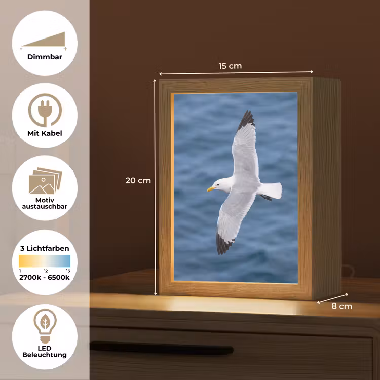 Zeemeeuw - Oceaan - Blauw Light Box met kabel (Kinderlampje) klein -USP_websiteoverzichtDE