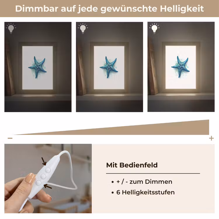 Zeester - Blauw - Spetters Light Box met kabel klein -USP_dimbaarDE