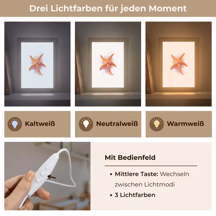 Zeester - Oranje - Paars Light Box met kabel klein -USP_lichtkleurDE
