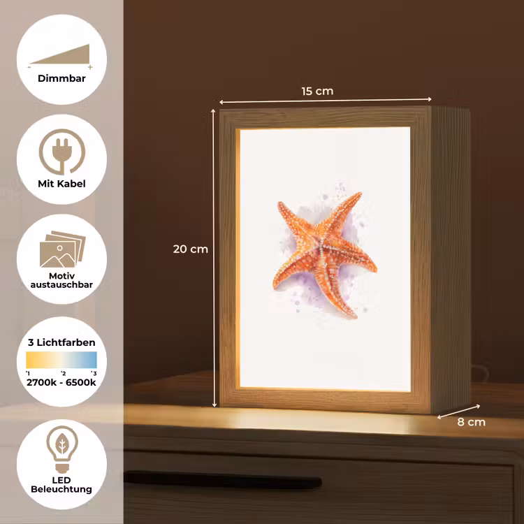 Zeester - Oranje - Paars Light Box met kabel (Kinderlampje) klein -USP_websiteoverzichtDE