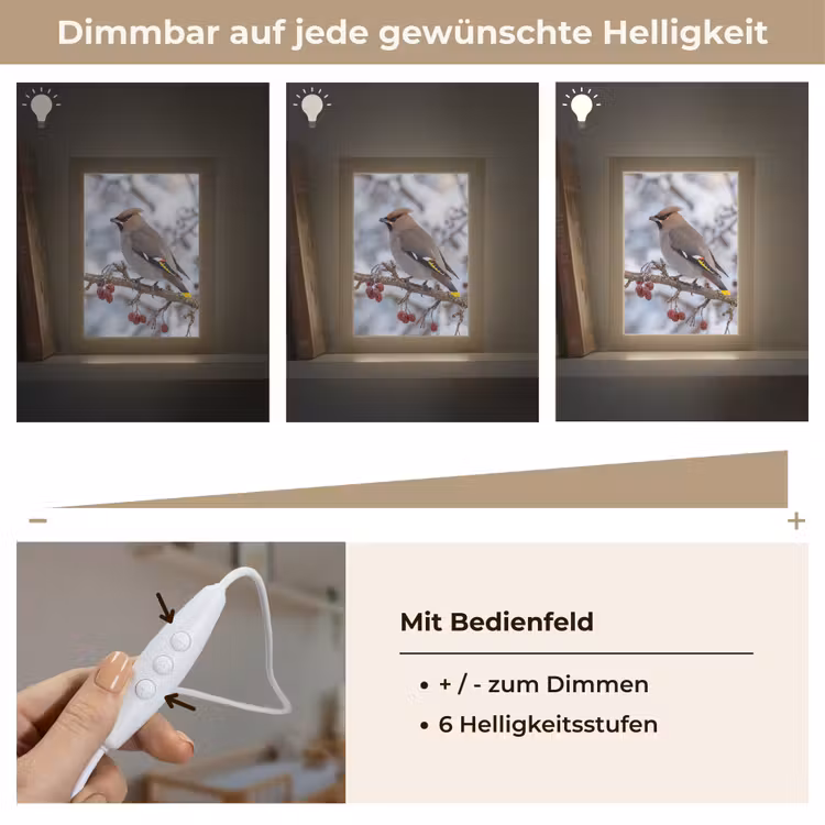 Pestvogel - Bessen - Winter - Natuur Light Box met kabel (Kinderlampje) klein -USP_dimbaarDE