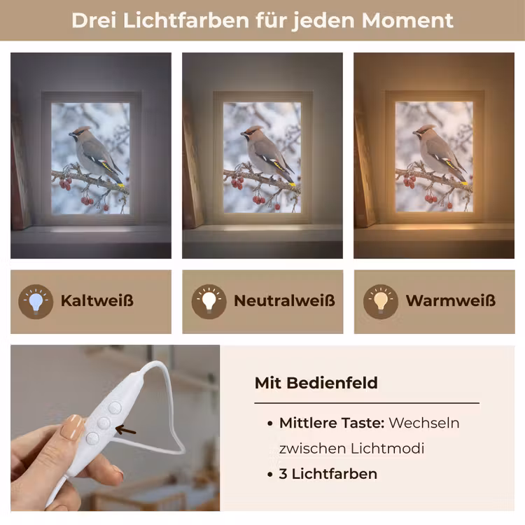 Pestvogel - Bessen - Winter - Natuur Light Box met kabel (Kinderlampje) klein -USP_lichtkleurDE