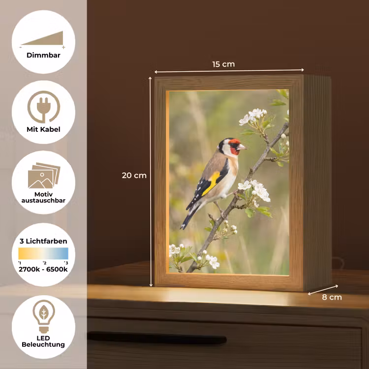Putter - Bloesem - Lente - Natuur - Kleurrijk Light Box met kabel (Kinderlampje) klein -USP_websiteoverzichtDE