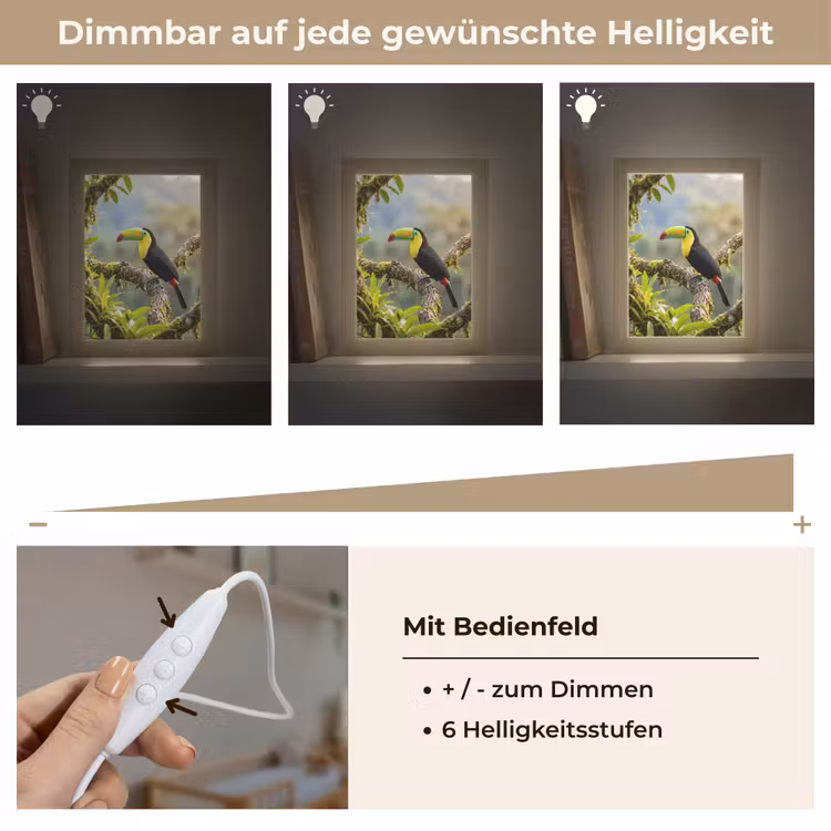 Toekan - Jungle - Natuur - Kleurrijk Light Box met kabel (Kinderlampje) klein -USP_dimbaarDE
