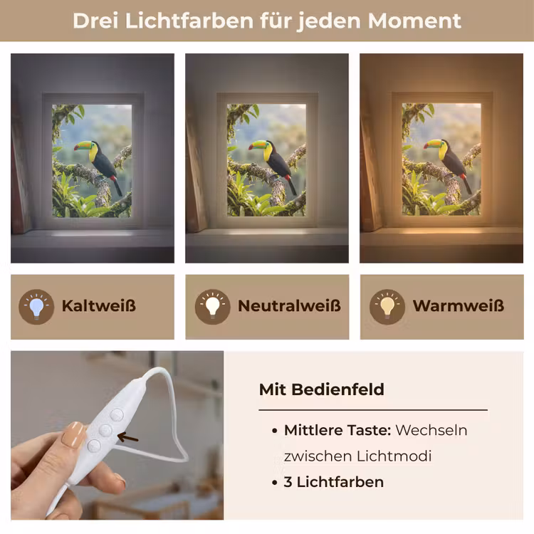 Toekan - Jungle - Natuur - Kleurrijk Light Box met kabel (Kinderlampje) klein -USP_lichtkleurDE