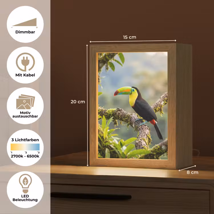 Toekan - Jungle - Natuur - Kleurrijk Light Box met kabel (Kinderlampje) klein -USP_websiteoverzichtDE