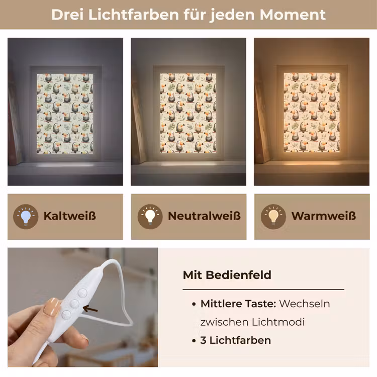 Toekans - Exotisch - Kleurrijk Light Box met kabel (Kinderlampje) klein 904 -USP_lichtkleurDE