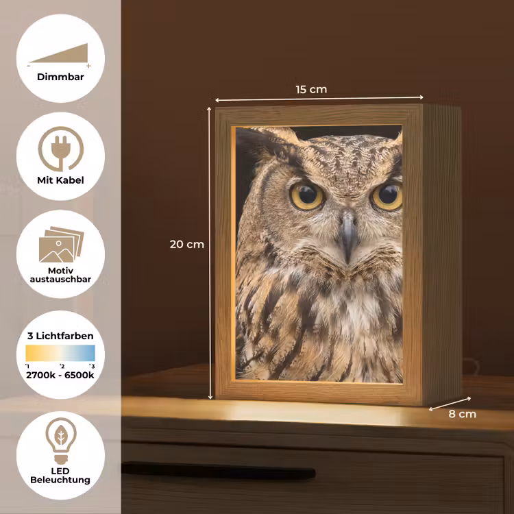 Oehoe - Uil - Portret - Bruin Light Box met kabel (Kinderlampje) klein -USP_websiteoverzichtDE