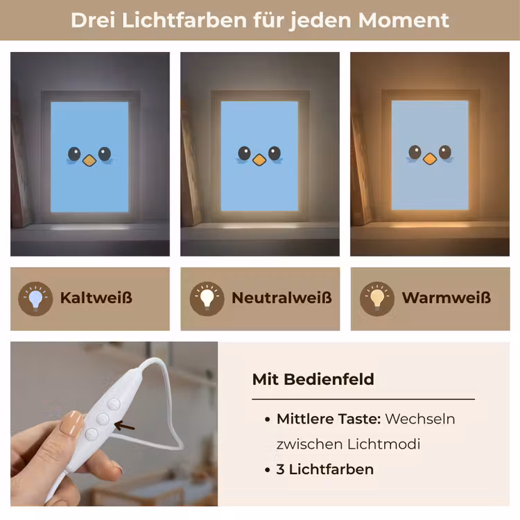Vogel - Blauw - Eenvoudig Light Box met kabel klein -USP_lichtkleurDE