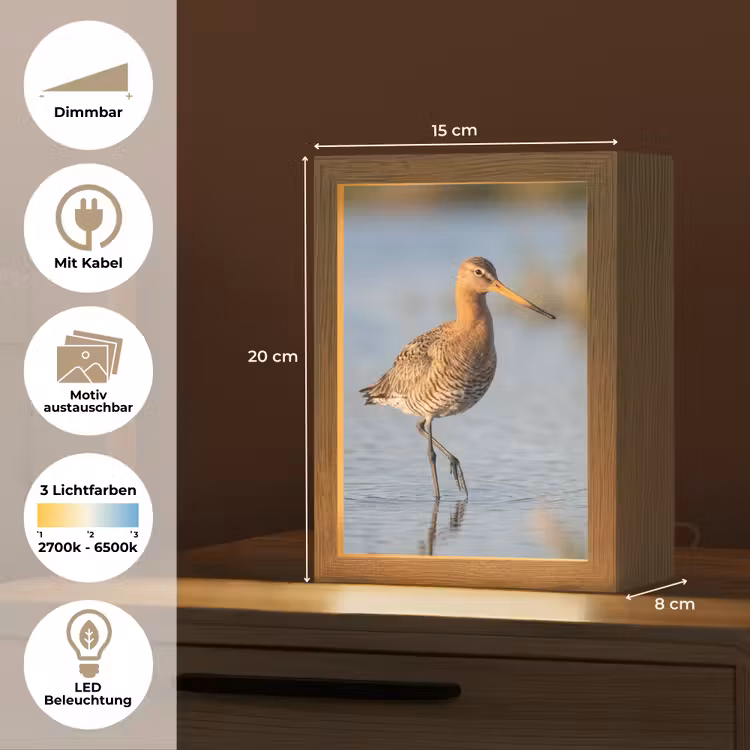 Vogel - Steltloper - Water - Natuur Light Box met kabel (Kinderlampje) klein -USP_websiteoverzichtDE