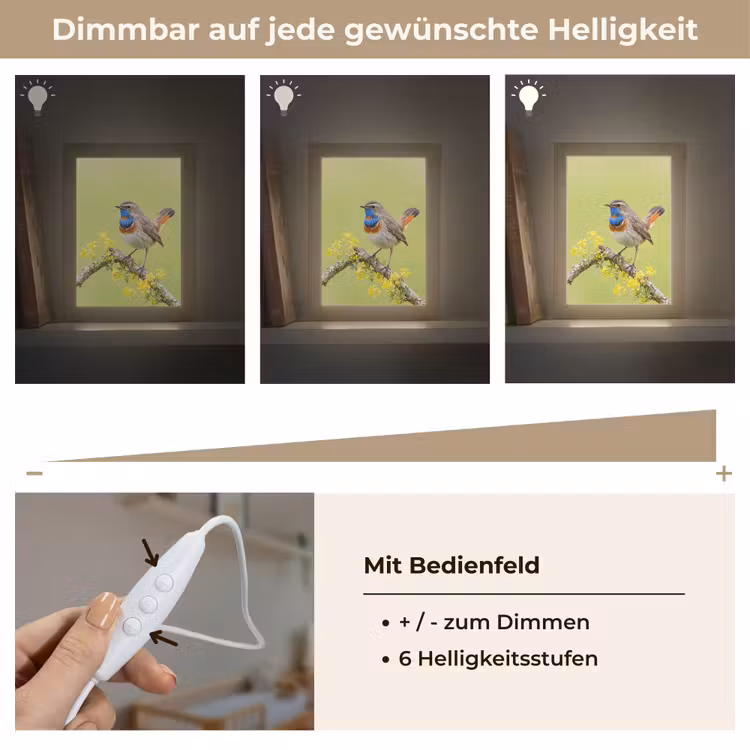 Vogel - Tak - Natuur - Kleurrijk Light Box met kabel (Kinderlampje) klein -USP_dimbaarDE