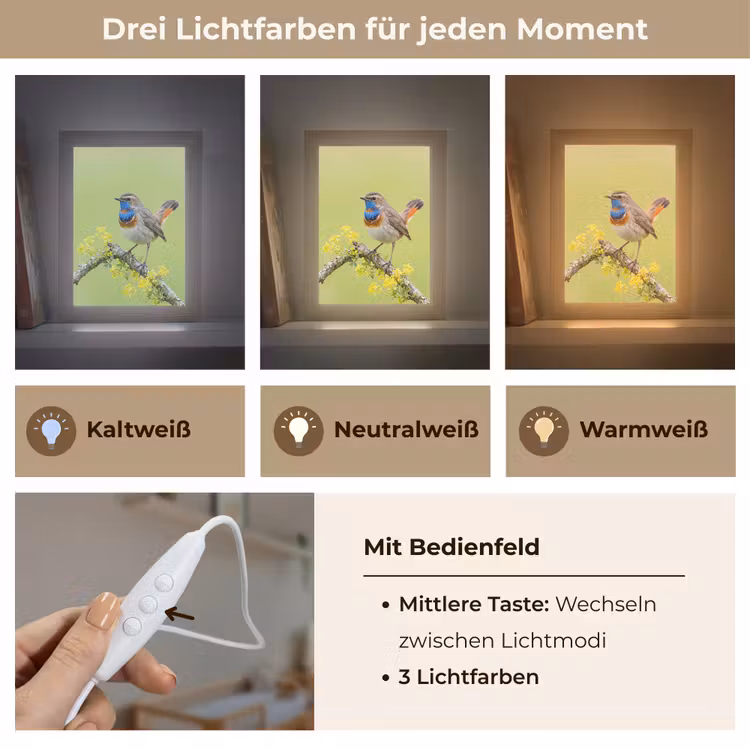 Vogel - Tak - Natuur - Kleurrijk Light Box met kabel (Kinderlampje) klein -USP_lichtkleurDE