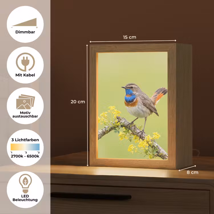 Vogel - Tak - Natuur - Kleurrijk Light Box met kabel (Kinderlampje) klein -USP_websiteoverzichtDE