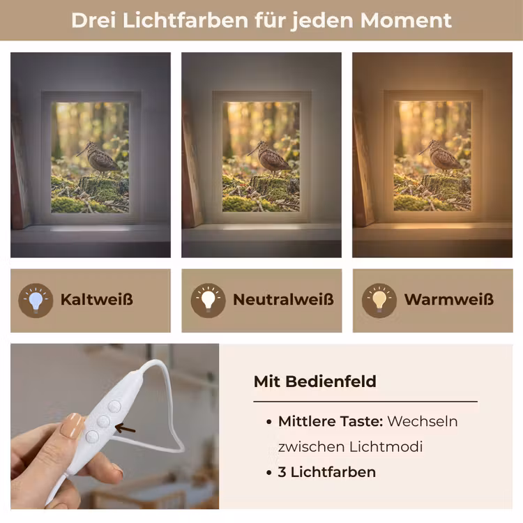 Houtsnip - Bos - Bladeren - Herfst - Gecamoufleerd Light Box met kabel (Kinderlampje) klein -USP_lichtkleurDE