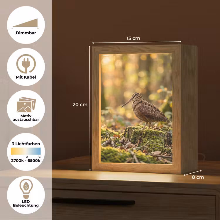 Houtsnip - Bos - Bladeren - Herfst - Gecamoufleerd Light Box met kabel (Kinderlampje) klein -USP_websiteoverzichtDE