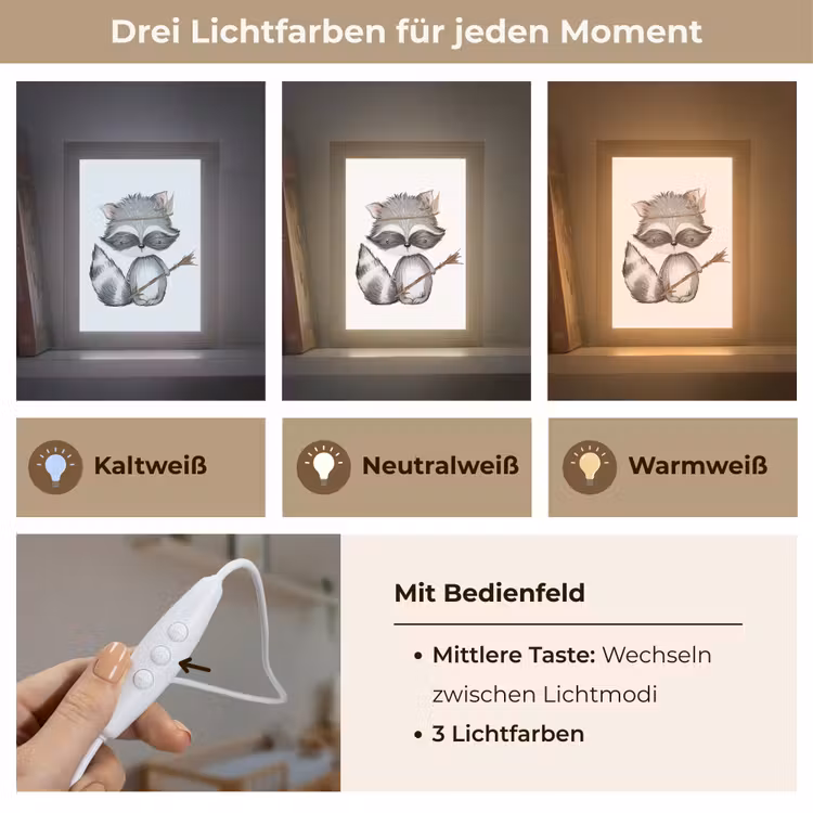 Wasbeer - Dier - Bosdieren Light Box met kabel klein -USP_lichtkleurDE