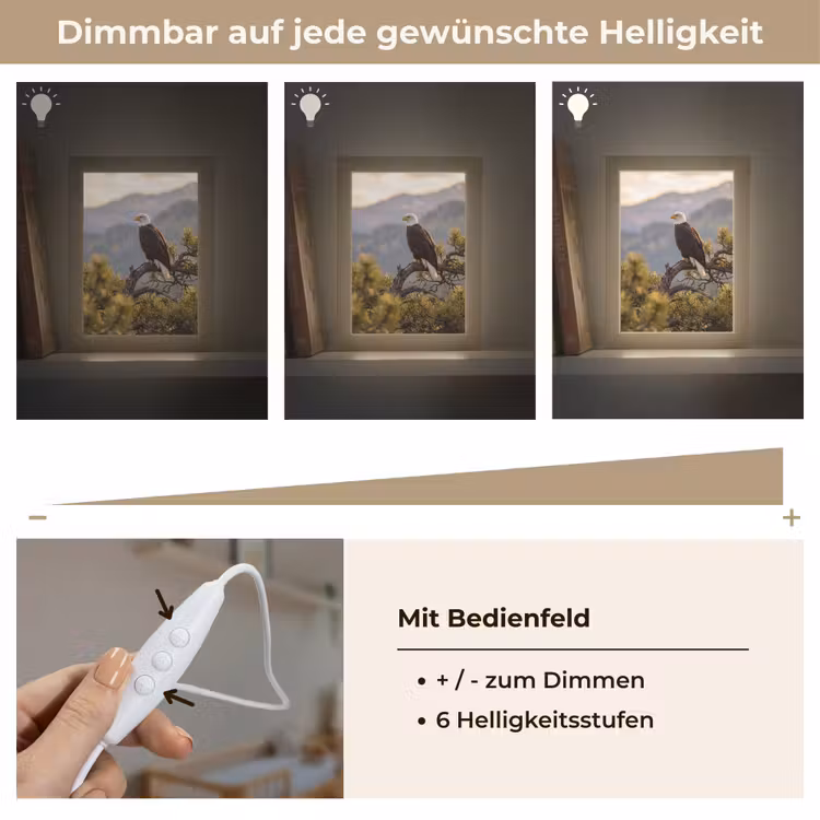 Zeearend - Boom - Bergen - Groen Light Box met kabel (Kinderlampje) klein -USP_dimbaarDE