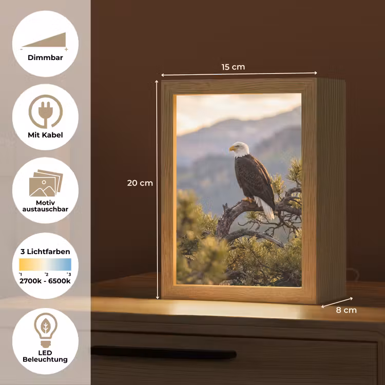 Zeearend - Boom - Bergen - Groen Light Box met kabel (Kinderlampje) klein -USP_websiteoverzichtDE