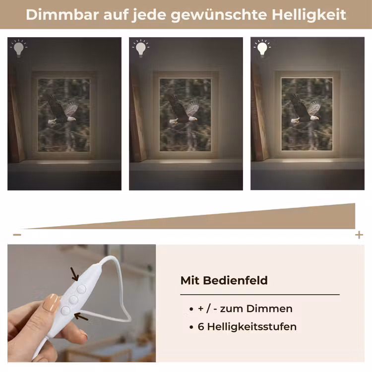 Zeearend - Vliegen - Bos - Natuur Light Box met kabel (Kinderlampje) klein -USP_dimbaarDE