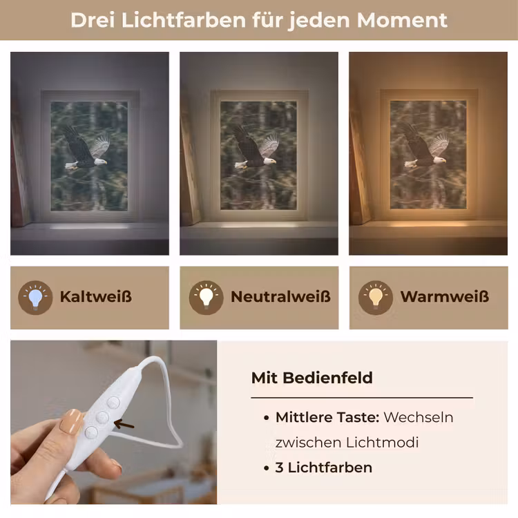 Zeearend - Vliegen - Bos - Natuur Light Box met kabel (Kinderlampje) klein -USP_lichtkleurDE