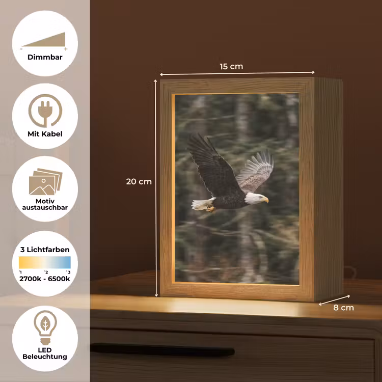 Zeearend - Vliegen - Bos - Natuur Light Box met kabel (Kinderlampje) klein -USP_websiteoverzichtDE