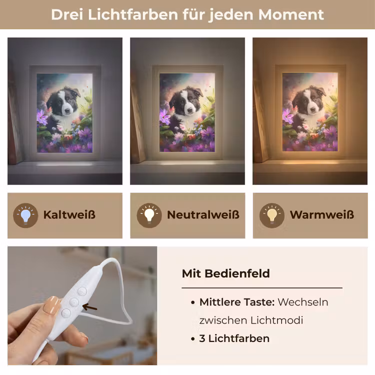 Puppy - Zon - Bloemen - Natuur - Bordercollie - Hond Light Box met kabel klein -USP_lichtkleurDE
