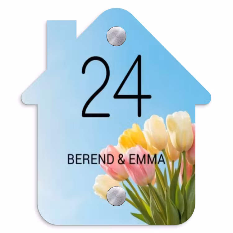 Gekleurde tulpen lucht - Klassiek Naambord Huisje klein -3d