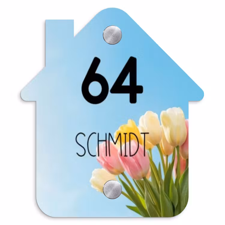 Gekleurde tulpen lucht - Modern Naambord Huisje klein -3d