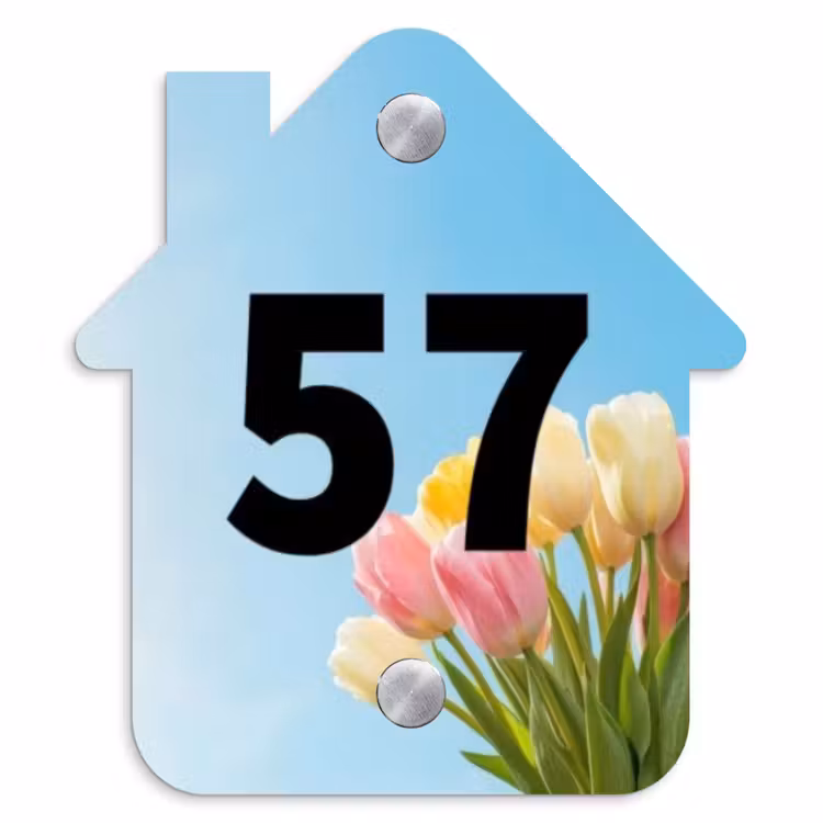Gekleurde tulpen lucht - Traditioneel Naambord Huisje klein -3d