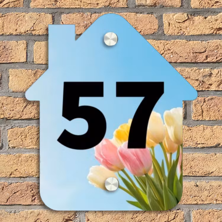 Gekleurde tulpen lucht - Traditioneel Naambord Huisje klein -sfeer5