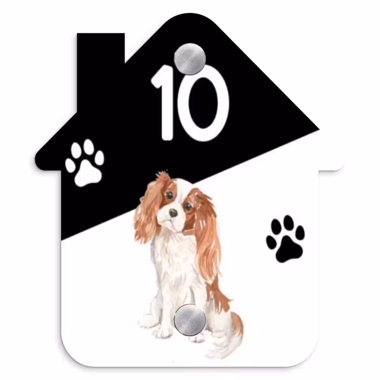 Zwart wit - Huisdier - Cavalier King Charles Spaniël Naambord Huisje klein -3d